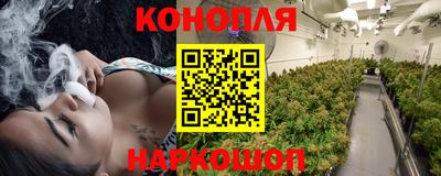 трава Будённовск