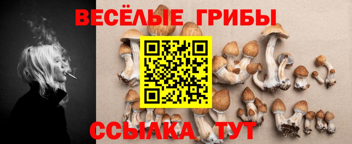 Псилоцибиновые грибы прущие грибы Кинешма