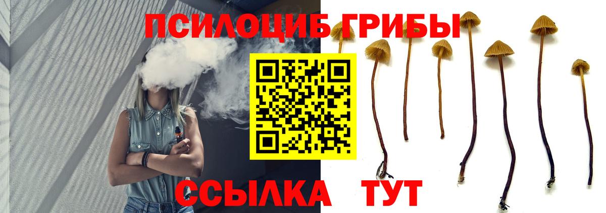 Галлюциногенные грибы Psilocybe  Вход с VPN  Кинешма 